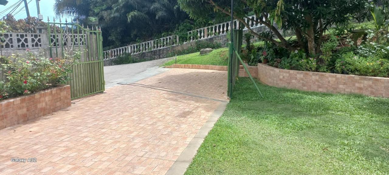 Loversnest Self Catering Anse aux Pins Esterno foto